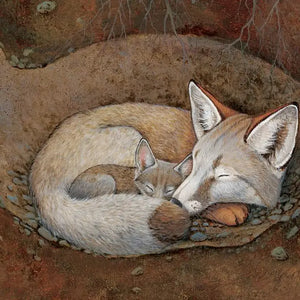 Sleepy Snoozy Cozy Coozy -Sleeping Bear Press