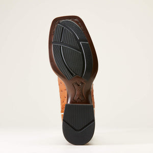 Men's Brandin' Ultra Boots - Ariat