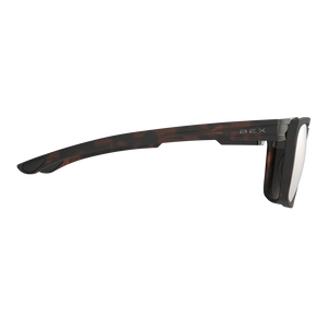 Adams Sunglasses - BEX