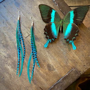 Mini Feather Earrings - ASTALI