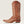 Women's Hazen Whiskey Barrel Boots - Ariat