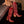 Women's Casanova Red Alert Western Boot - Ariat