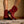 Women's Cate Red Alert Western Boot - Ariat