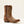 Women's Cate Shades of Grain Western Boot - Ariat