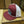 Good Medicine Burgundy Cap