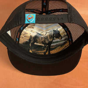 DON'T WORRY BOUT IT! Cap - Good Medicine Bucking Horses