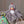 Rocky Chicken Character Blanket - Mary Meyer