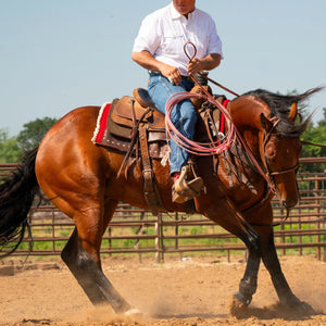 MEN'S WHITE RANGETEK WESTERN GUIDE SNAP SHIRT - Schaefer Outfitter