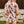 Rose Cowboy Printed Button Down Set - Lucky & Blessed