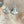 White Buffalo Post Earrings - Nizhoni Traders LLC