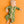 Hay Day Bamboo Sleeper - Little One Shop