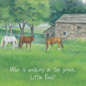 Little Foal's Busy Day -Sleeping Bear Press
