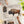 1000 Piece Wyoming, Plains Bison Puzzle - Lantern Press