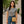 Women's Concho Handbage - Scully
