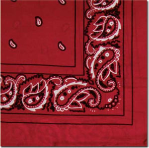 Bandana Silk Scarf - Wyoming Traders