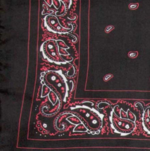 Bandana Silk Scarf - Wyoming Traders