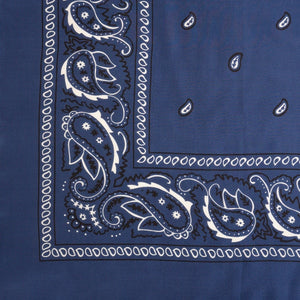 Bandana Silk Scarf - Wyoming Traders