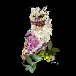 Petal Art Greeting Cards - Studio Malcom