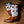 Women's Hope Boot - Hyer