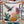 Cactus Bloom - Fringe Scarves