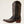 Hazen Ancient Black Boots - Ariat