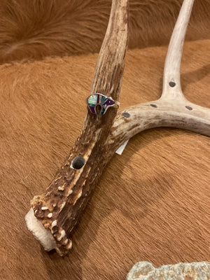Navajo Bear Ring - AAIA