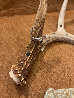 Navajo Bear Ring - AAIA