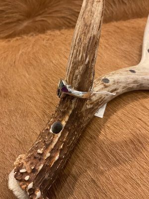 Navajo Bear Ring - AAIA