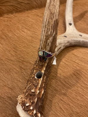 Navajo Bear Ring - AAIA