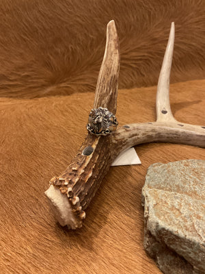 Horse Ring