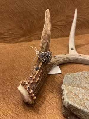Horse Ring