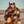 Knox Sunglasses (Chestnut/Forest)- BEX