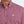 Men's S/S Print Purple Shirt - Cinch