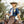 Freeman Ranch Denim Top - Rodeo Quincy