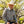 Men's Rough Stock Large Paisley Snap Shirt- Panhandle Slim