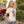 Great American Round-Up Tee - Rodeo Quincy