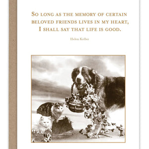 Life Is Good Pet Sympathy Card