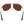 Nova Sunglasses - BEX
