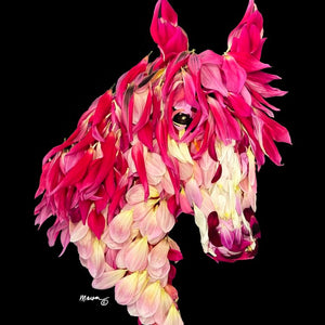Petal Art Greeting Cards - Studio Malcom