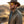 Wildbyrd Sunglasses (CB/B/G) - BEX