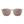 Zion Sunglasses - BEX