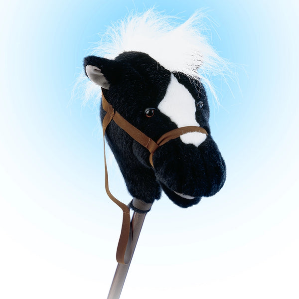 Easy Ride 'um Black Horse - Mary Meyer