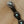 Leather Concho Belt W/Turquoise- Lucky & Blessed