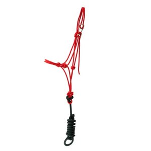 Rope Halters with Leads - Joe Benner