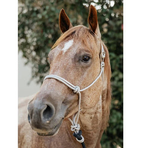 Rope Halters with Leads - Joe Benner
