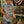 Women's Americana Hen Camp Shirt - Cotton & Rye