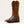 Men's Gunslinger Caiman Belly Boot - Ariat