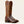 Men's Gunslinger Caiman Belly Boot - Ariat