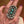 Turquooise & Wild Horse Sterling Ring - Nizhoni Traders LLC