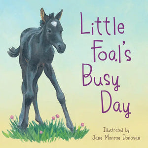 Little Foal's Busy Day -Sleeping Bear Press